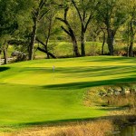View of a hole on the course at The Golf Club at Champions Circle